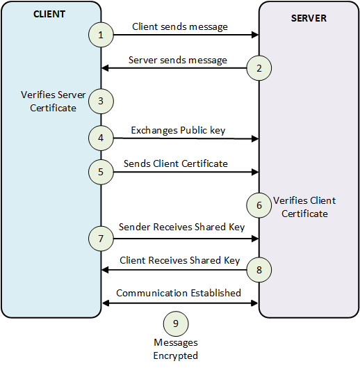 SSL TLS Configuration In NCache Made Simple