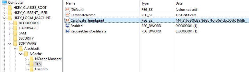 TLS certificate thumbprint